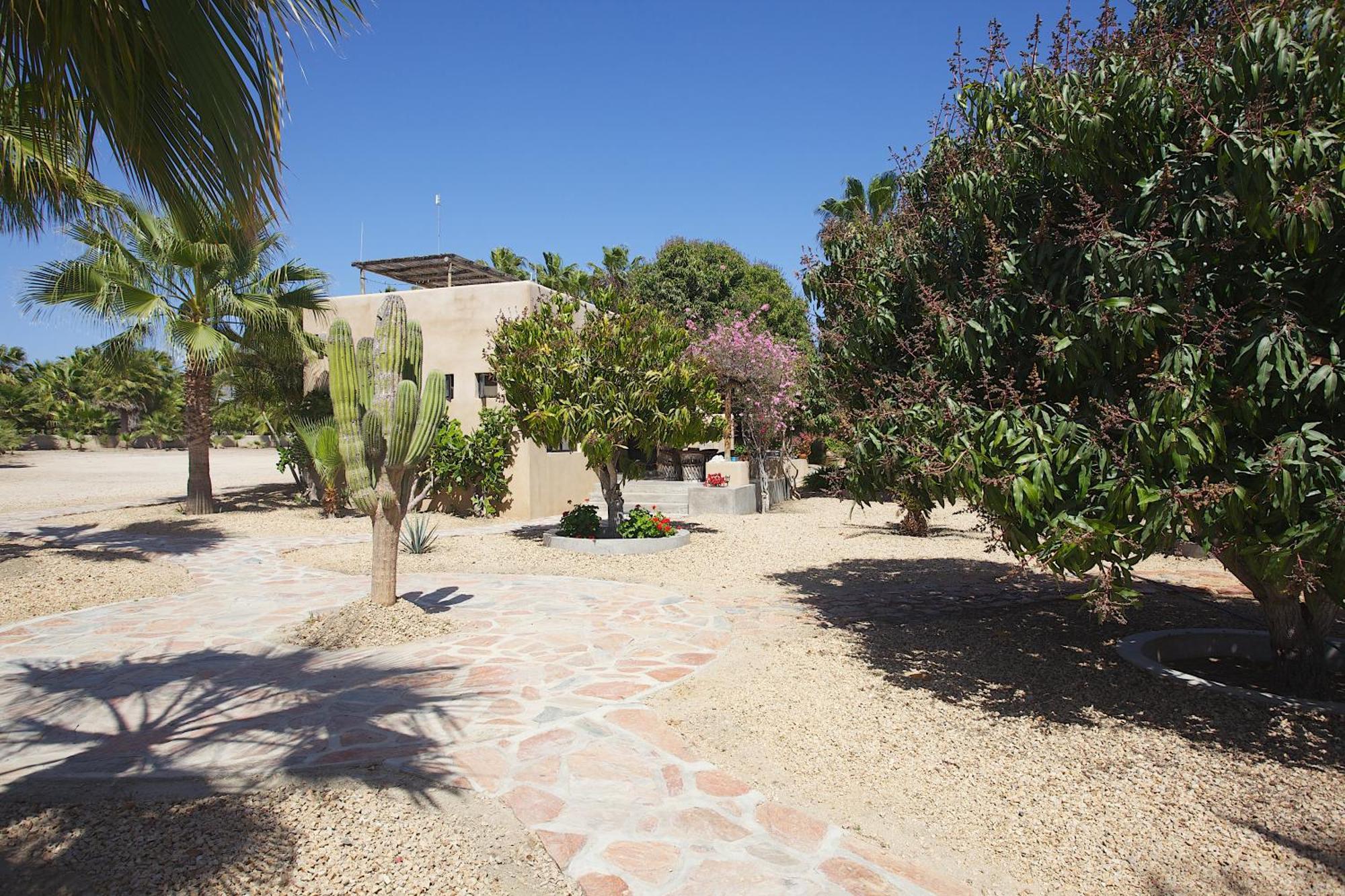 Sole Caliente Villa Todos Santos Eksteriør bilde