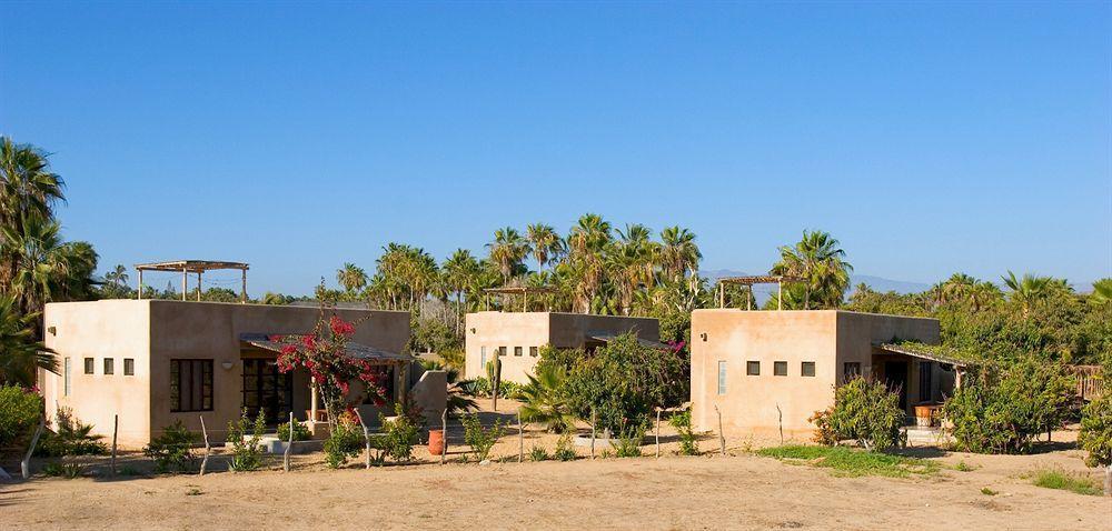 Sole Caliente Villa Todos Santos Eksteriør bilde