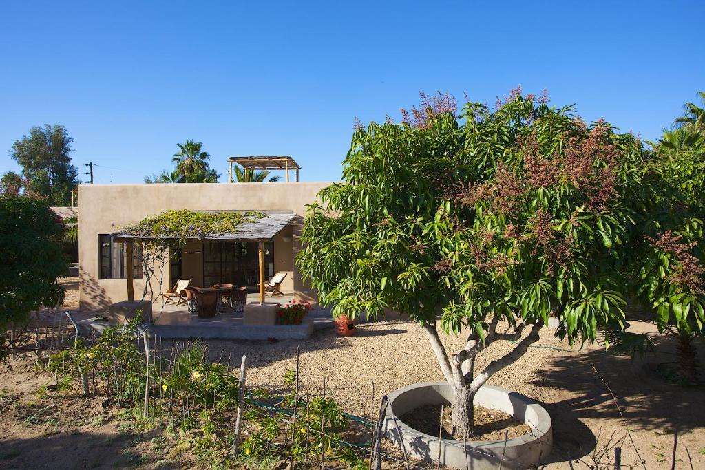 Sole Caliente Villa Todos Santos Eksteriør bilde