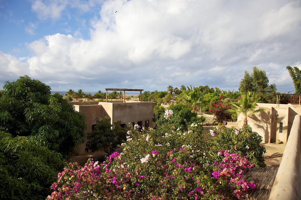 Sole Caliente Villa Todos Santos Eksteriør bilde