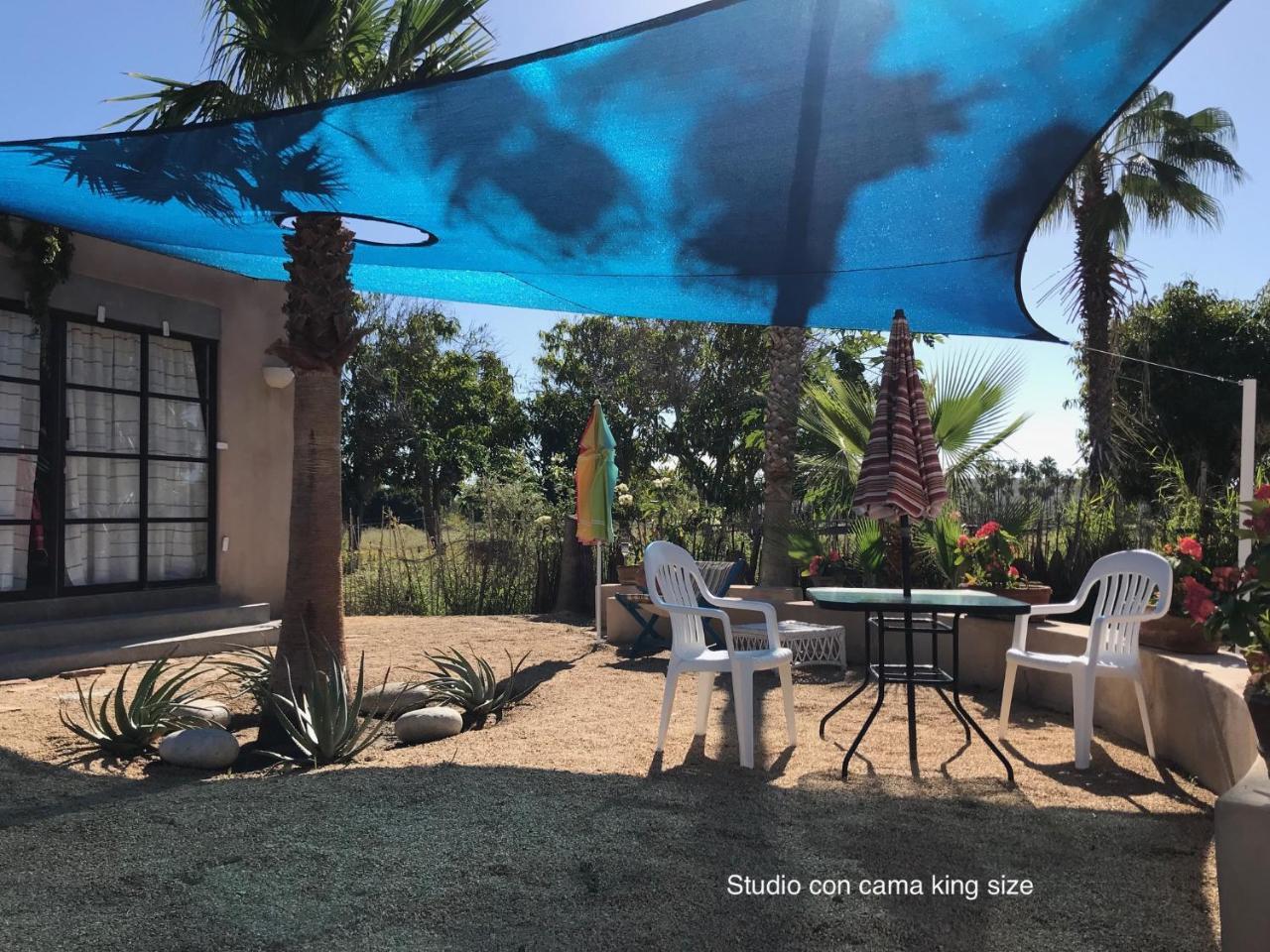 Sole Caliente Villa Todos Santos Eksteriør bilde