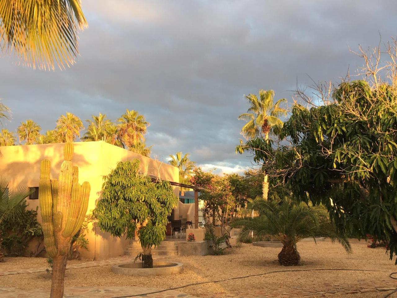 Sole Caliente Villa Todos Santos Eksteriør bilde